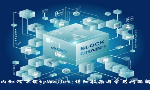 国内如何下载tpWallet：详细指南与常见问题解答