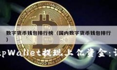 如何从tpWallet提现上亿资金