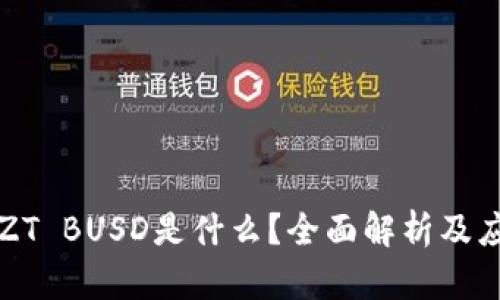 区块链ZT BUSD是什么？全面解析及应用实例